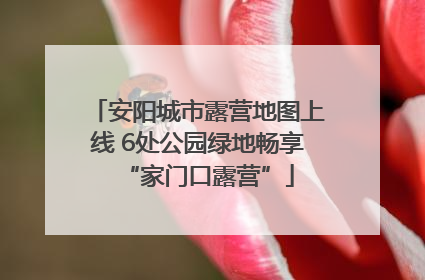 安阳城市露营地图上线 6处公园绿地畅享“家门口露营”